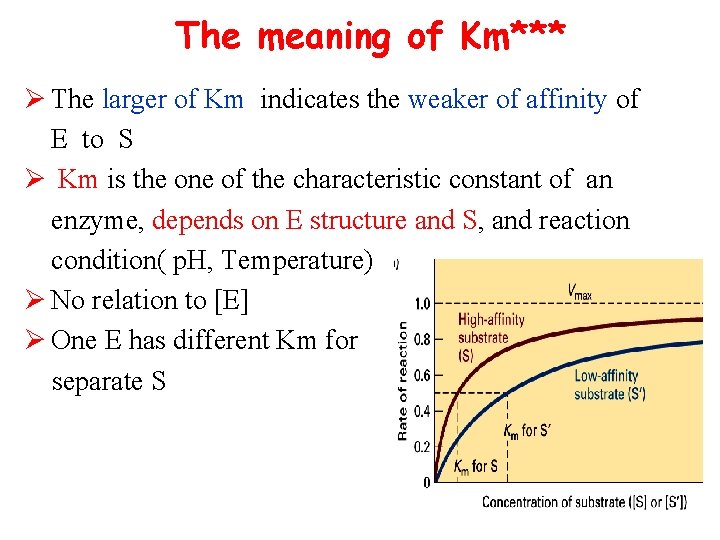 The meaning of Km*** Ø The larger of Km indicates the weaker of affinity