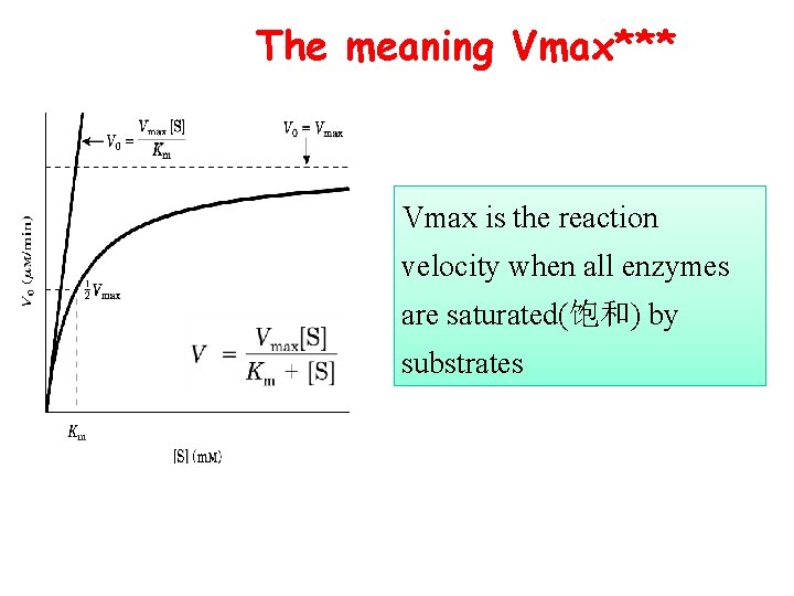 The meaning Vmax*** Vmax is the reaction velocity when all enzymes are saturated(饱和) by