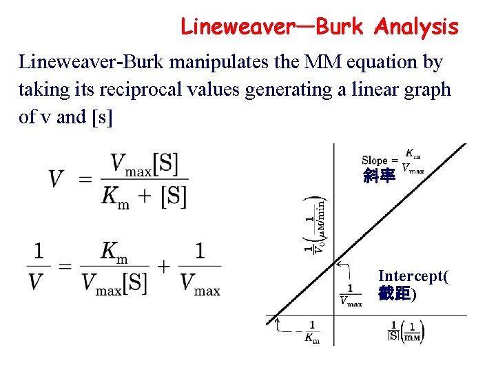 Lineweaver—Burk Analysis Lineweaver-Burk manipulates the MM equation by taking its reciprocal values generating a