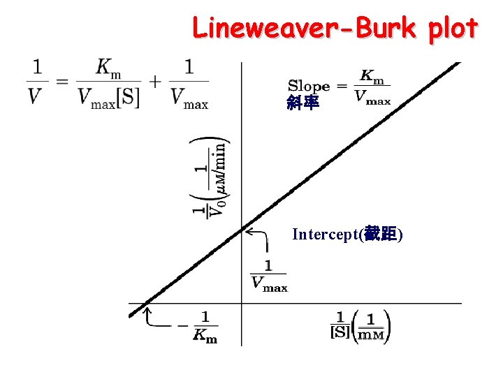 Lineweaver-Burk plot 斜率 Intercept(截距) 