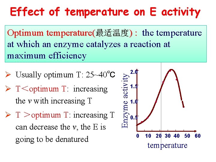 Effect of temperature on E activity Ø Usually optimum T: 25~40℃ Ø T＜optimum T: