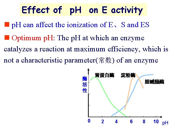 Effect of p. H on E activity n p. H can affect the ionization