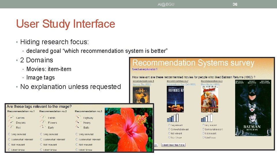 AI@BGU User Study Interface • Hiding research focus: • declared goal “which recommendation system