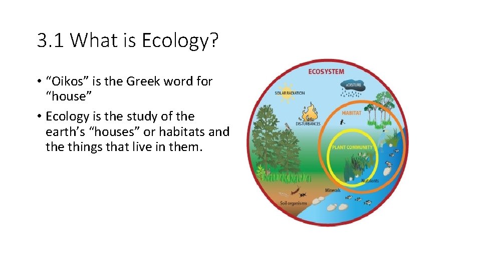 3. 1 What is Ecology? • “Oikos” is the Greek word for “house” •