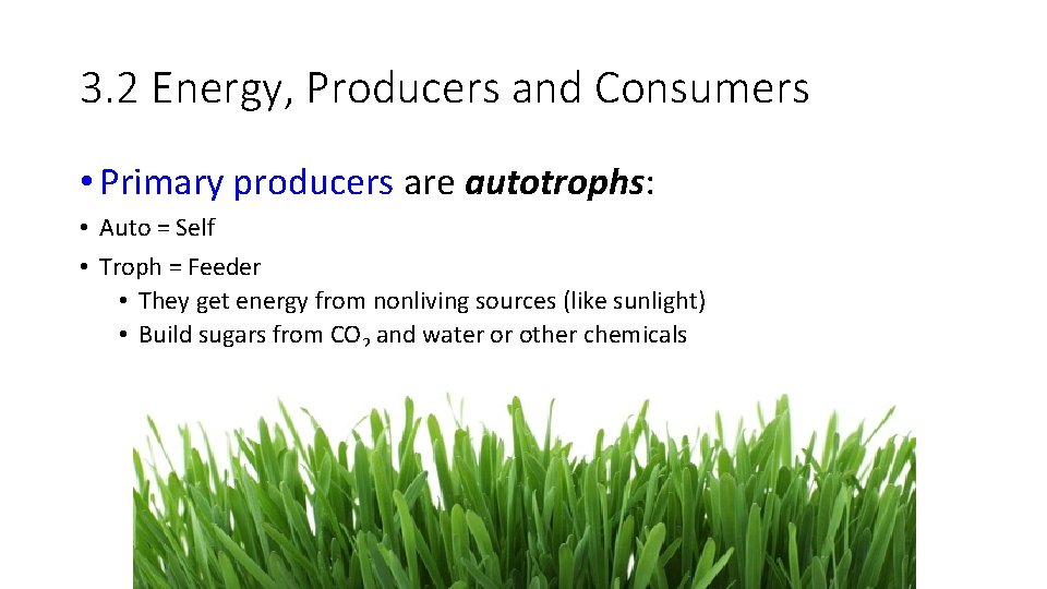 3. 2 Energy, Producers and Consumers • Primary producers are autotrophs: • Auto =