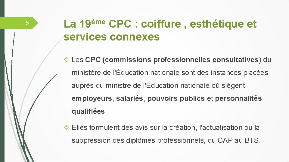 5 La 19ème CPC : coiffure , esthétique et services connexes Les CPC (commissions
