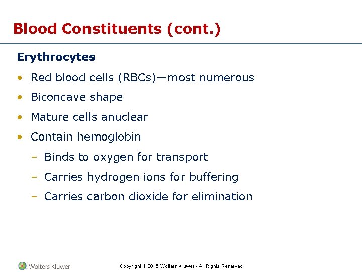 Blood Constituents (cont. ) Erythrocytes • Red blood cells (RBCs)—most numerous • Biconcave shape