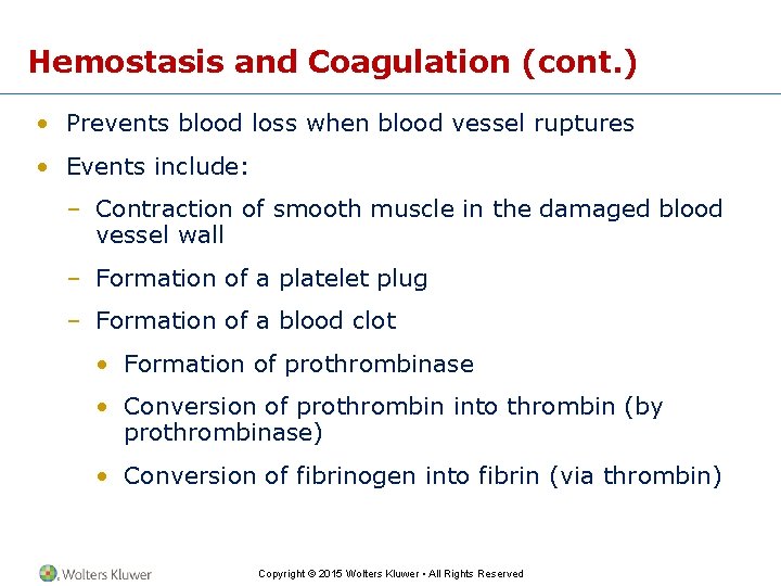 Hemostasis and Coagulation (cont. ) • Prevents blood loss when blood vessel ruptures •