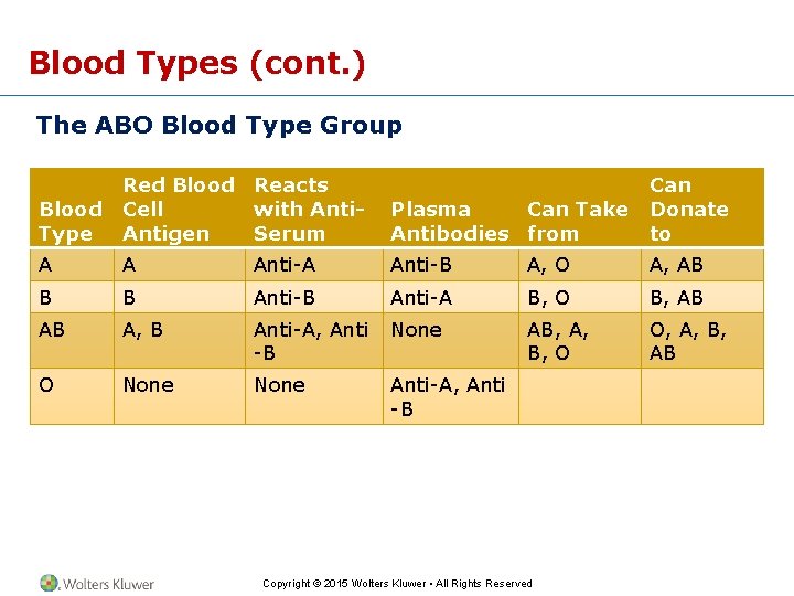 Blood Types (cont. ) The ABO Blood Type Group Blood Type Red Blood Reacts