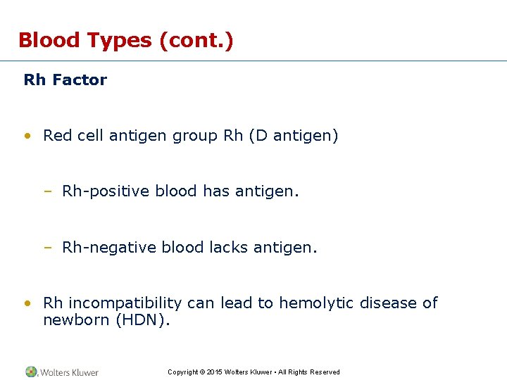 Blood Types (cont. ) Rh Factor • Red cell antigen group Rh (D antigen)
