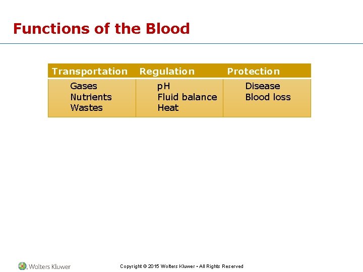 Functions of the Blood Transportation Gases Nutrients Wastes Regulation Protection p. H Fluid balance