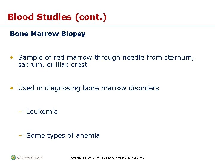 Blood Studies (cont. ) Bone Marrow Biopsy • Sample of red marrow through needle