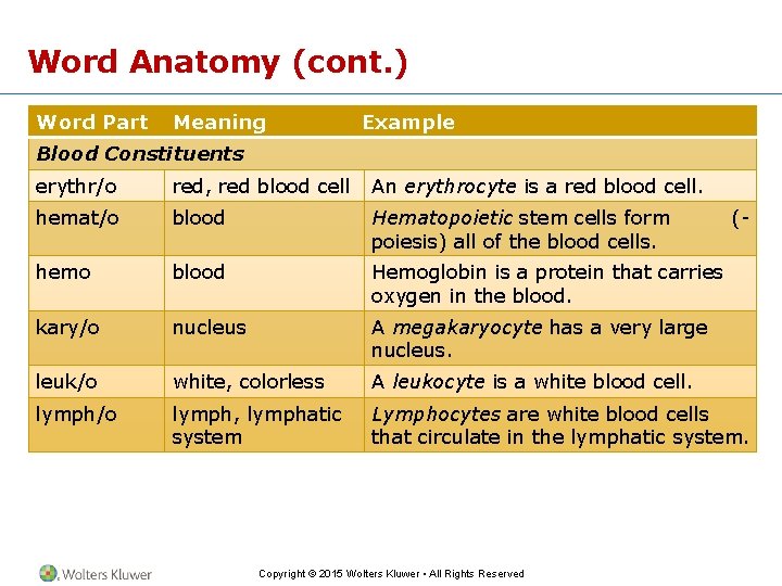 Word Anatomy (cont. ) Word Part Meaning Example Blood Constituents erythr/o red, red blood