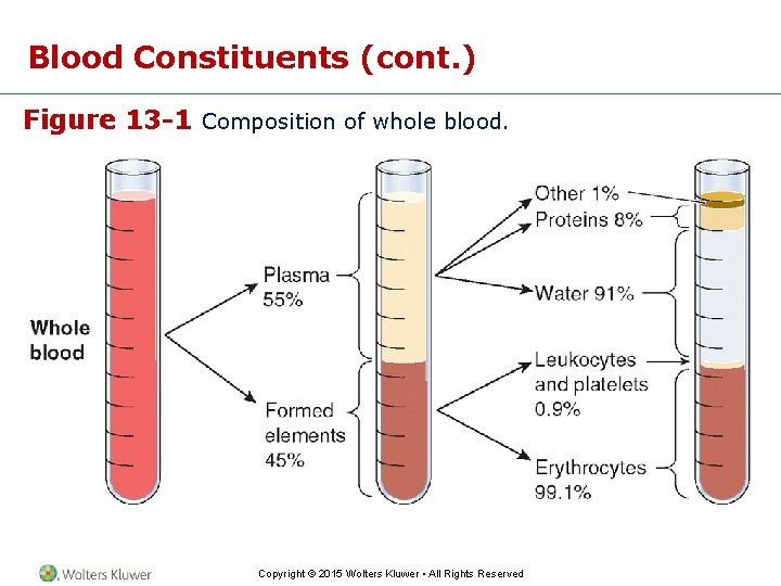 Blood Constituents (cont. ) Figure 13 -1 Composition of whole blood. Copyright © 2015