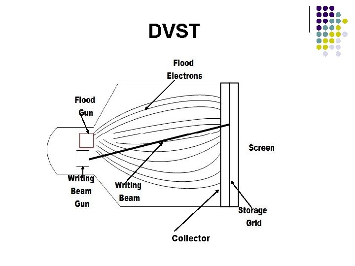 DVST Collector 