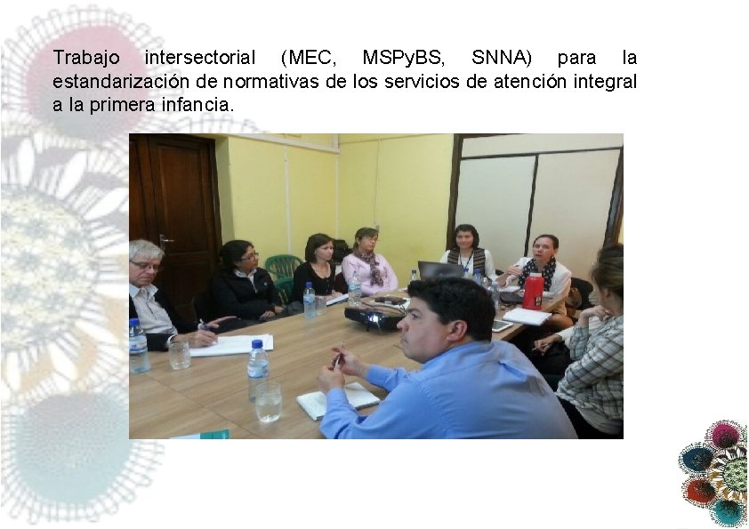 Trabajo intersectorial (MEC, MSPy. BS, SNNA) para la estandarización de normativas de los servicios