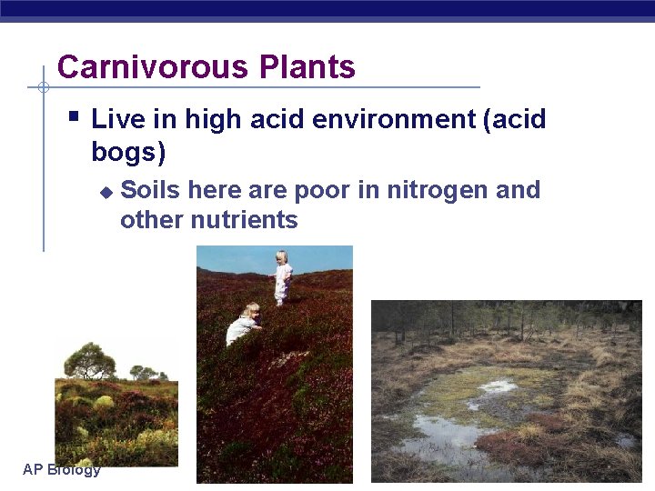 Carnivorous Plants § Live in high acid environment (acid bogs) u AP Biology Soils