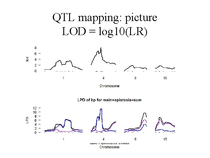 QTL mapping: picture LOD = log 10(LR) 