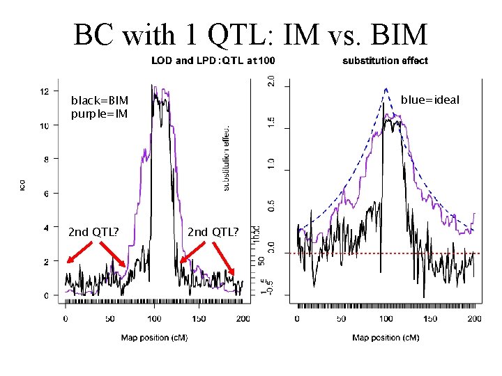 BC with 1 QTL: IM vs. BIM blue=ideal black=BIM purple=IM 2 nd QTL? 