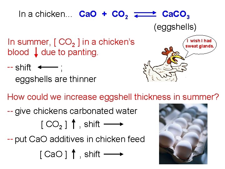 In a chicken… Ca. O + CO 2 In summer, [ CO 2 ]