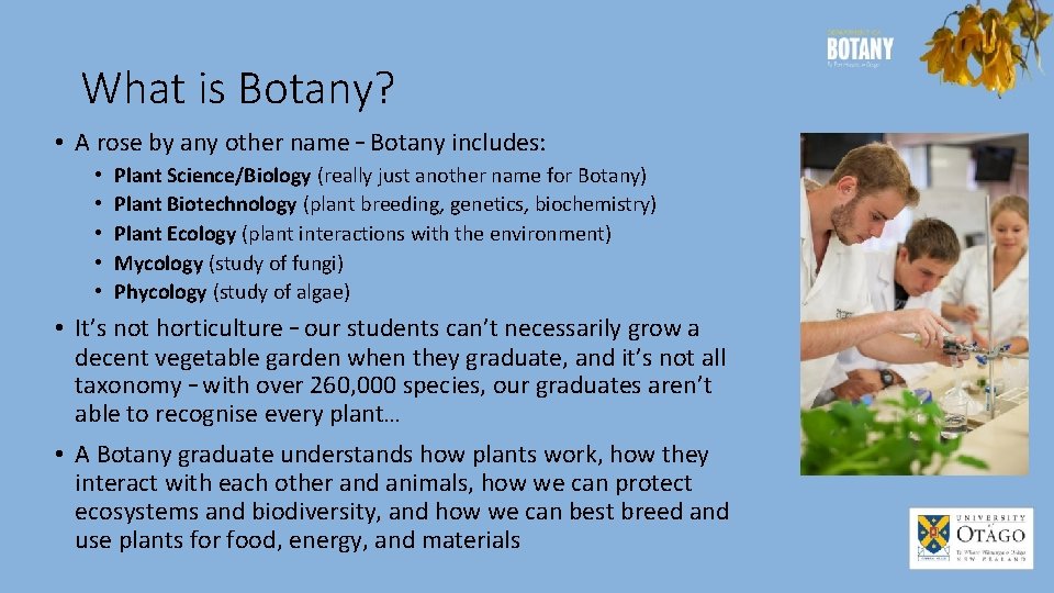What is Botany? • A rose by any other name – Botany includes: •
