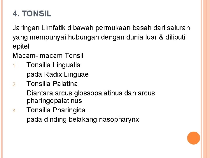 4. TONSIL Jaringan Limfatik dibawah permukaan basah dari saluran yang mempunyai hubungan dengan dunia