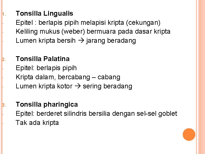 1. - 2. - 3. - Tonsilla Lingualis Epitel : berlapis pipih melapisi kripta