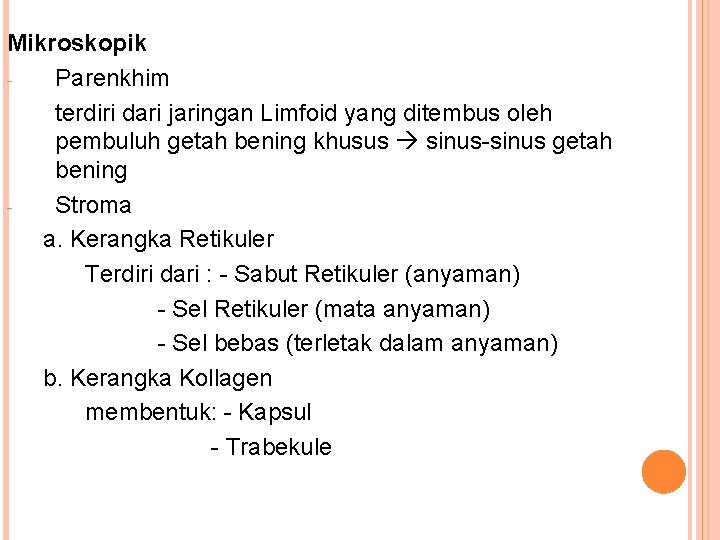 Mikroskopik Parenkhim terdiri dari jaringan Limfoid yang ditembus oleh pembuluh getah bening khusus sinus-sinus