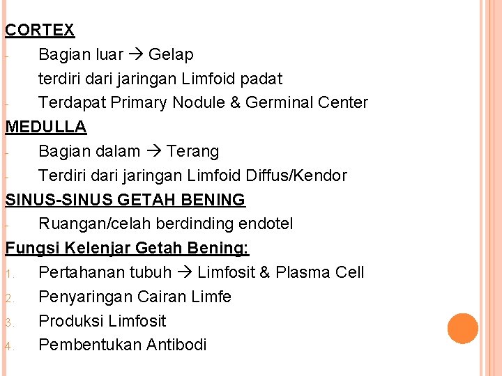 CORTEX Bagian luar Gelap terdiri dari jaringan Limfoid padat Terdapat Primary Nodule & Germinal