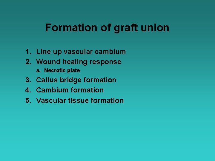 Formation of graft union 1. Line up vascular cambium 2. Wound healing response a.