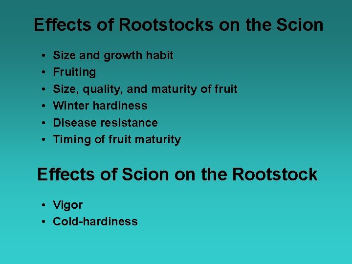 Effects of Rootstocks on the Scion • • • Size and growth habit Fruiting
