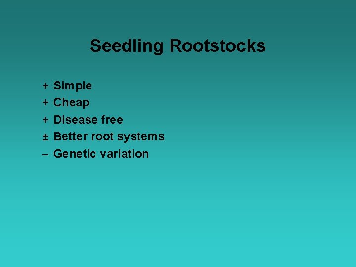 Seedling Rootstocks + + + ± – Simple Cheap Disease free Better root systems
