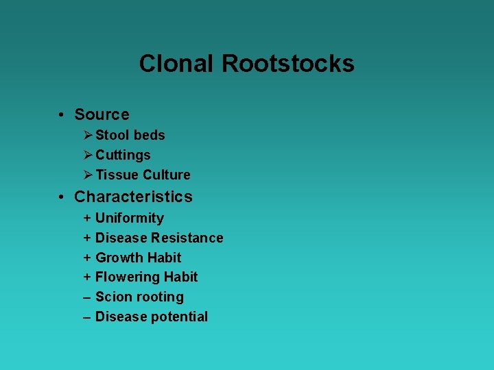 Clonal Rootstocks • Source Ø Stool beds Ø Cuttings Ø Tissue Culture • Characteristics
