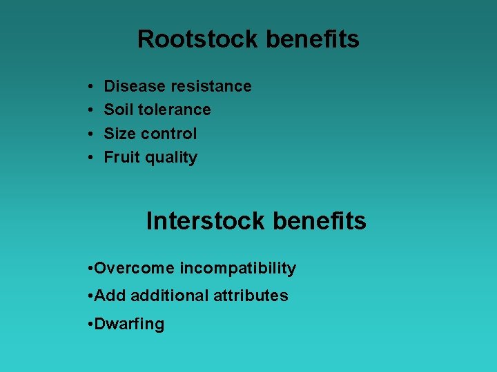 Rootstock benefits • • Disease resistance Soil tolerance Size control Fruit quality Interstock benefits