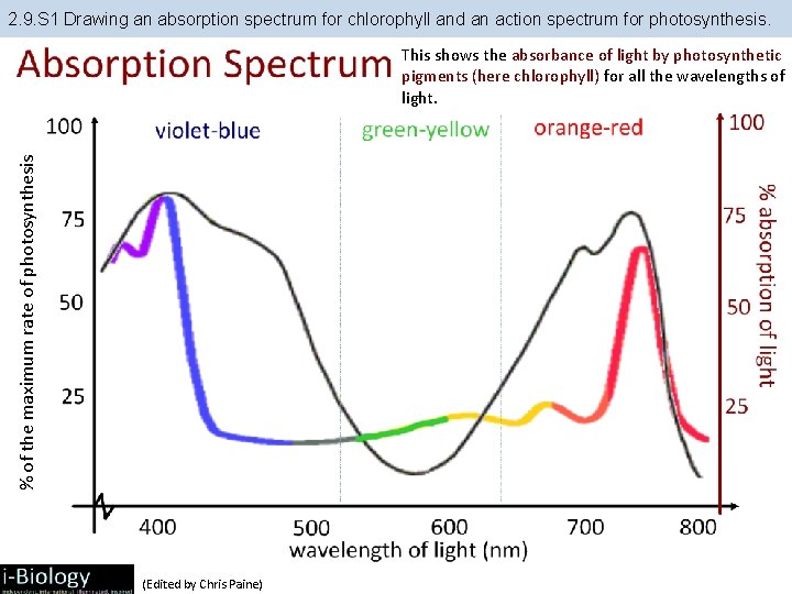 2. 9. S 1 Drawing an absorption spectrum for chlorophyll and an action spectrum