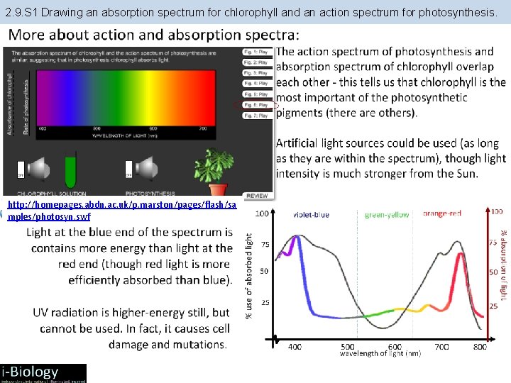 2. 9. S 1 Drawing an absorption spectrum for chlorophyll and an action spectrum