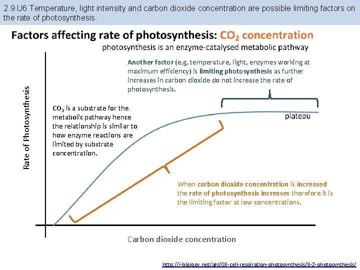 Rate of Photosynthesis 2. 9. U 6 Temperature, light intensity and carbon dioxide concentration
