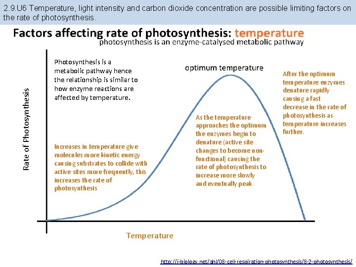 Rate of Photosynthesis 2. 9. U 6 Temperature, light intensity and carbon dioxide concentration