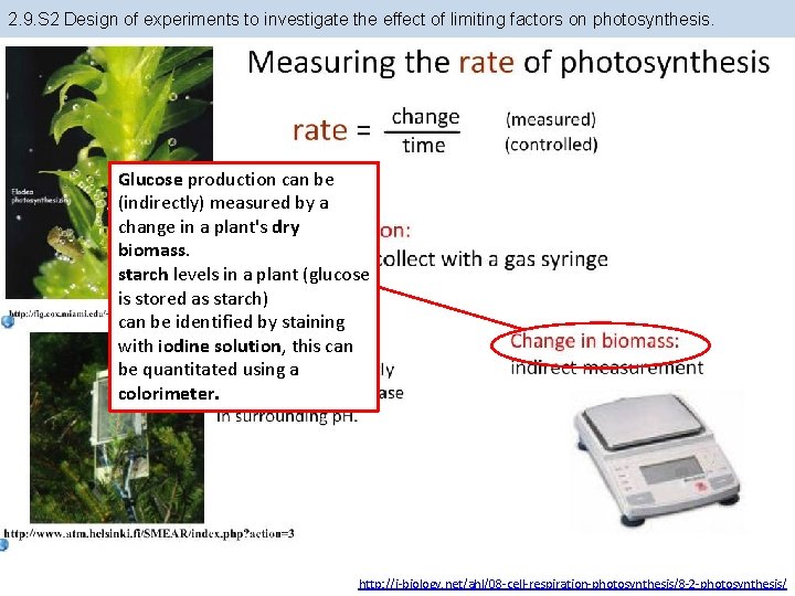 2. 9. S 2 Design of experiments to investigate the effect of limiting factors