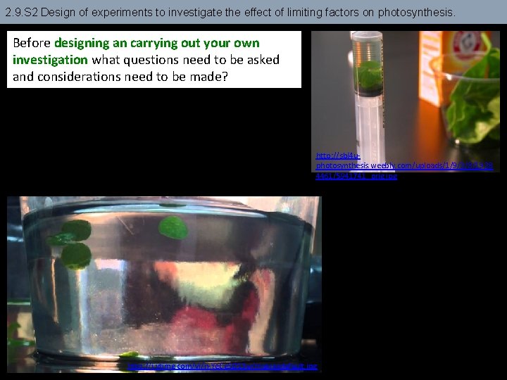 2. 9. S 2 Design of experiments to investigate the effect of limiting factors
