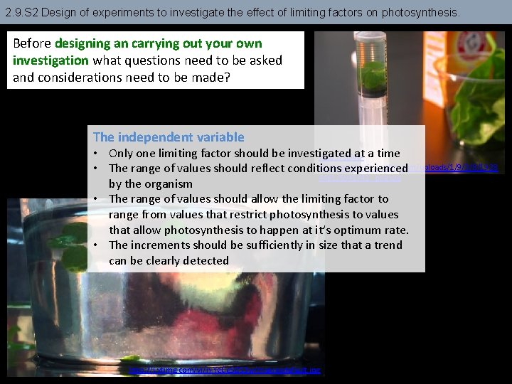 2. 9. S 2 Design of experiments to investigate the effect of limiting factors