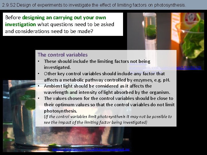 2. 9. S 2 Design of experiments to investigate the effect of limiting factors