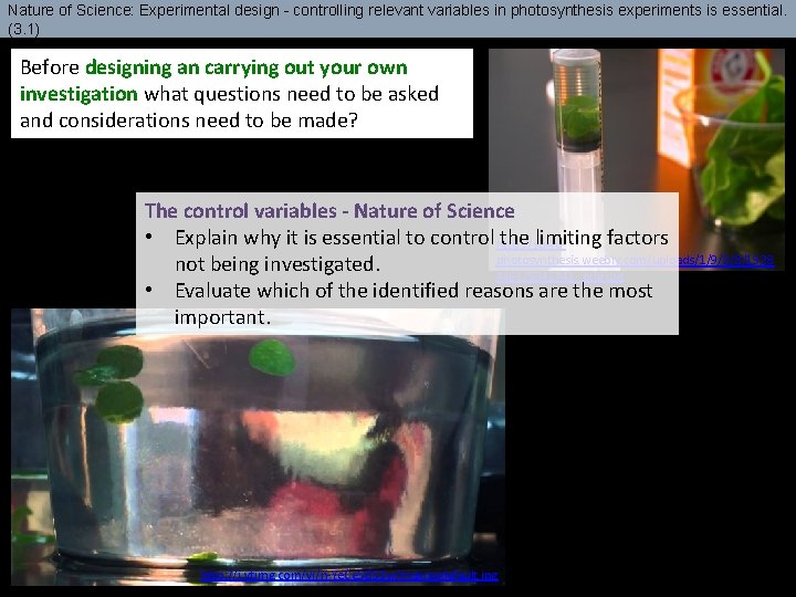 Nature of Science: Experimental design - controlling relevant variables in photosynthesis experiments is essential.