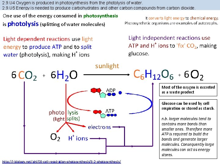 2. 9. U 4 Oxygen is produced in photosynthesis from the photolysis of water.