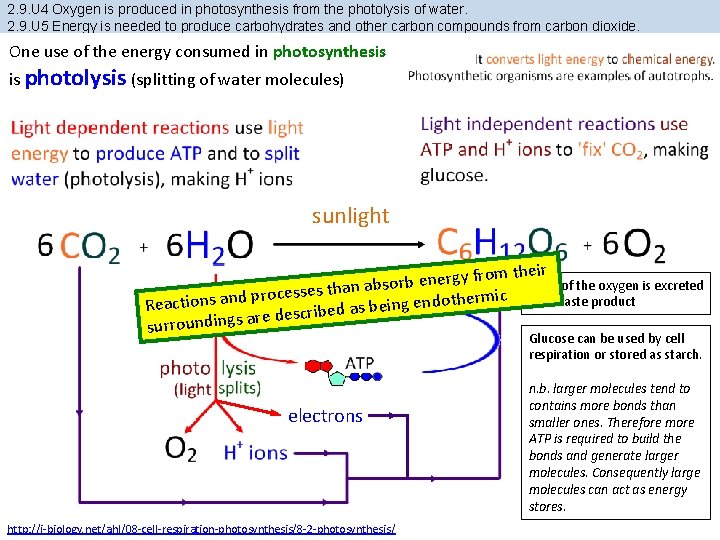 2. 9. U 4 Oxygen is produced in photosynthesis from the photolysis of water.