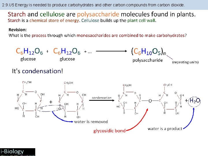 2. 9. U 5 Energy is needed to produce carbohydrates and other carbon compounds