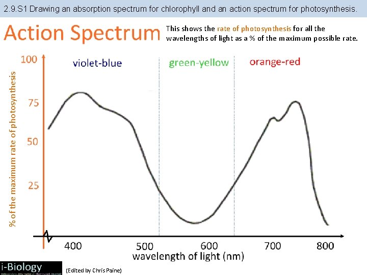 2. 9. S 1 Drawing an absorption spectrum for chlorophyll and an action spectrum