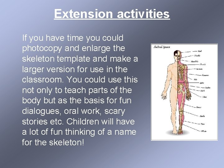 Extension activities If you have time you could photocopy and enlarge the skeleton template