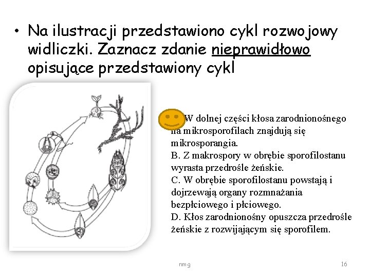  • Na ilustracji przedstawiono cykl rozwojowy widliczki. Zaznacz zdanie nieprawidłowo opisujące przedstawiony cykl