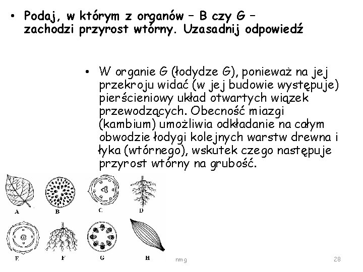  • Podaj, w którym z organów – B czy G – zachodzi przyrost